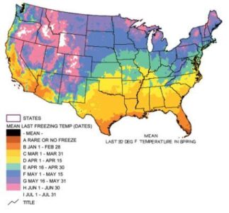 Five Resources to Plan a Great Garden